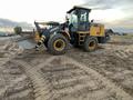 XCMG  LW300 FN 2021 годаүшін11 500 000 тг. в Семей – фото 8