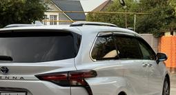 Toyota Sienna 2023 годаүшін31 500 000 тг. в Алматы – фото 5