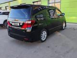 Toyota Alphard 2010 года за 7 000 000 тг. в Актау – фото 4