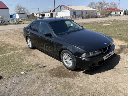 BMW 520 1996 года за 2 700 000 тг. в Астана – фото 4