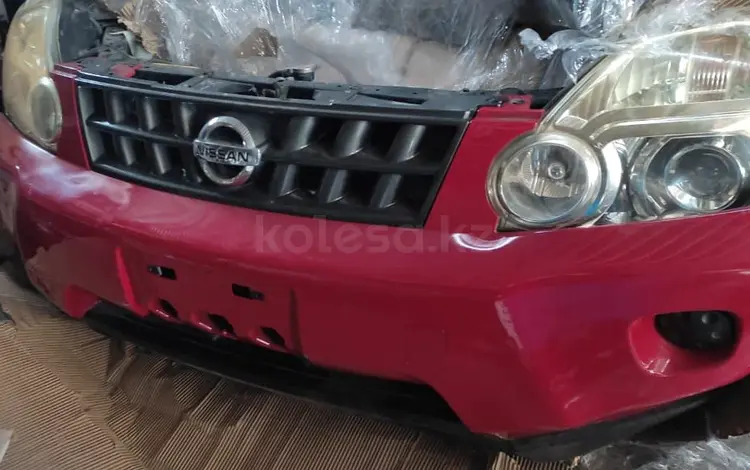 Ноускат за 350 000 тг. в Алматы