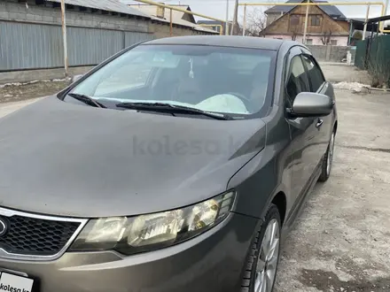 Kia Cerato 2012 года за 4 200 000 тг. в Алматы – фото 3