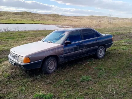 Audi 100 1988 года за 400 000 тг. в Шемонаиха