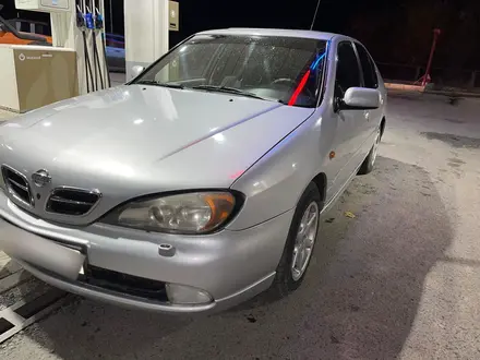 Nissan Primera 1999 года за 2 200 000 тг. в Талдыкорган – фото 25