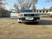 Audi 100 1993 года за 2 200 000 тг. в Павлодар