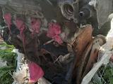 Двигатель в збореүшін300 000 тг. в Актобе – фото 4