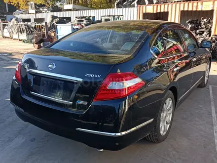 Nissan Teana 2010 года за 10 000 тг. в Алматы – фото 6