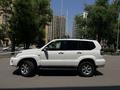 Toyota Land Cruiser Prado 2003 года за 9 600 000 тг. в Алматы – фото 3