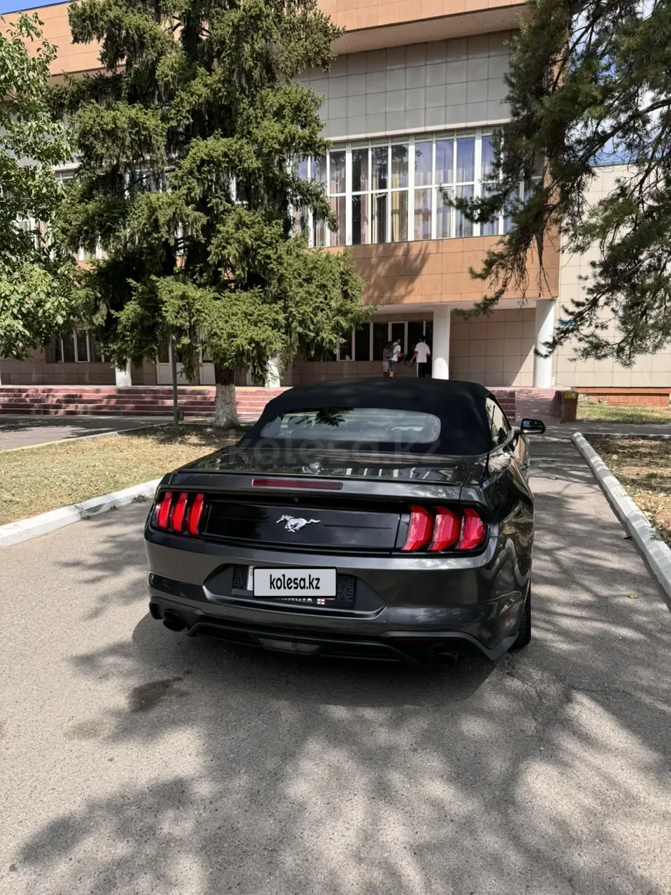 Ford Mustang, 2019