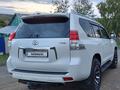 Toyota Land Cruiser Prado 2011 годаүшін14 700 000 тг. в Усть-Каменогорск – фото 6