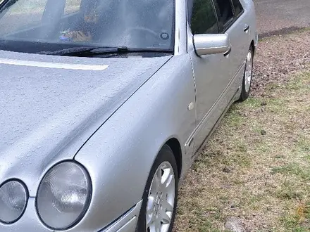 Mercedes-Benz E 200 1996 года за 2 800 000 тг. в Конаев (Капшагай) – фото 4