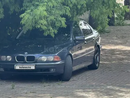 BMW 523 1997 года за 2 800 000 тг. в Алматы
