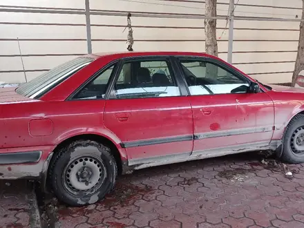 Audi 100 1992 года за 2 300 000 тг. в Шымкент