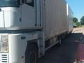 Renault  Magnum 2008 года за 26 000 000 тг. в Талгар – фото 4
