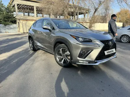 Lexus NX 200 2019 года за 19 000 000 тг. в Шымкент – фото 2