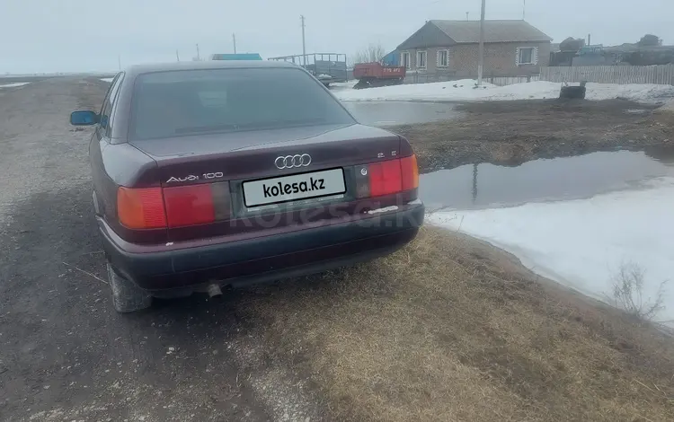 Audi 100 1991 годаүшін1 650 000 тг. в Петропавловск