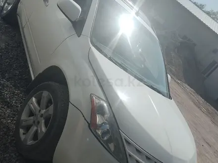 Nissan Murano 2007 года за 3 800 000 тг. в Алматы – фото 12