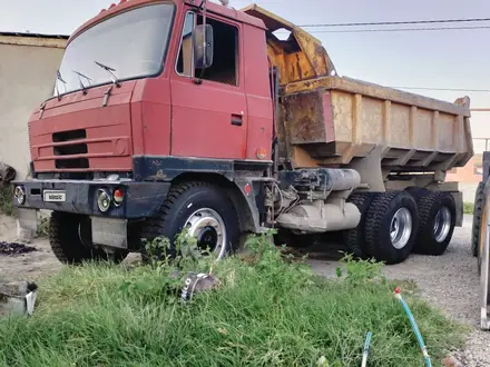 Tatra  T 815 1989 года за 5 000 000 тг. в Кентау – фото 9