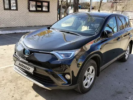 Toyota RAV4 2016 года за 17 400 000 тг. в Павлодар – фото 2