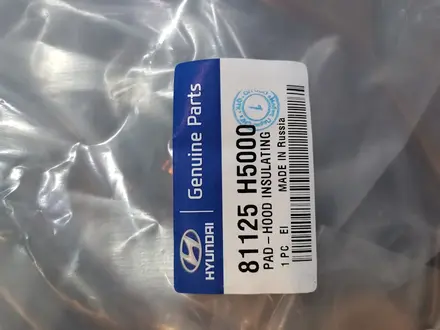 Петля передней дверей, петля задней двери, петли-Hyundai 17-26 гг за 13 000 тг. в Алматы – фото 8
