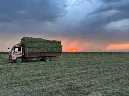 Foton 2012 года за 5 200 000 тг. в Есик – фото 3