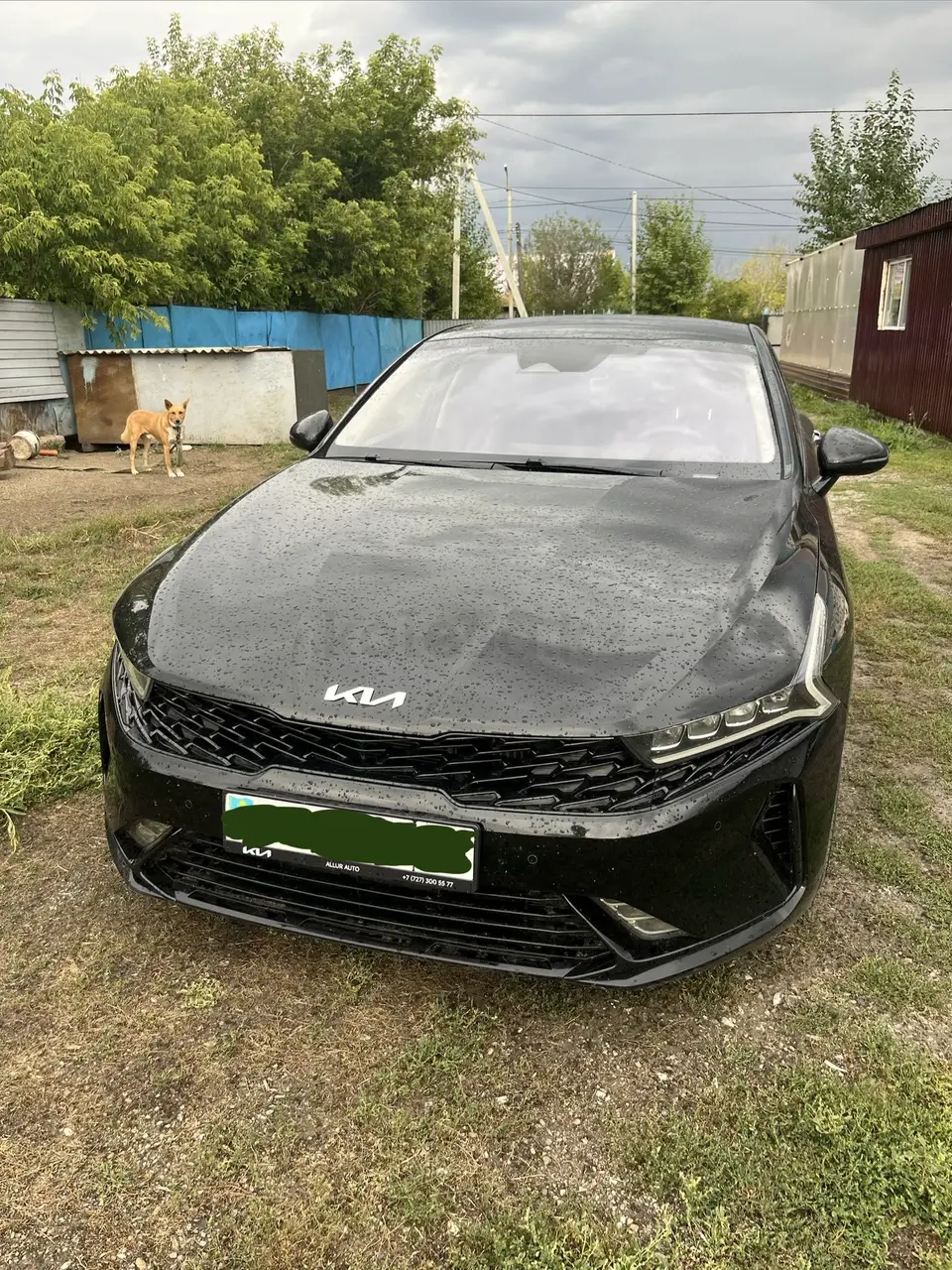 Kia K5, 2021