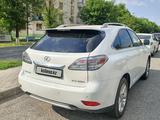 Lexus RX 350 2011 года за 11 300 000 тг. в Шымкент