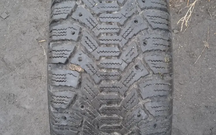 Tunga nordway 195/60 r15үшін12 500 тг. в Караганда