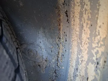 Toyota Raum 1997 года за 2 250 000 тг. в Алматы – фото 42