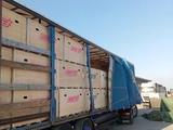 Kogel  SN24 2010 годаүшін6 700 000 тг. в Шымкент