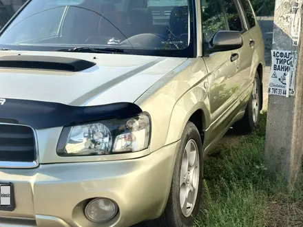 Subaru Forester 2003 года за 4 100 000 тг. в Талдыкорган – фото 3