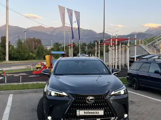 Lexus NX 250