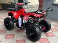 Atv  Atv Квадроцикл 2024г MOWGLI MINI HARDY 70 (Новый Детский) 2024 годаүшін210 000 тг. в Алматы – фото 3