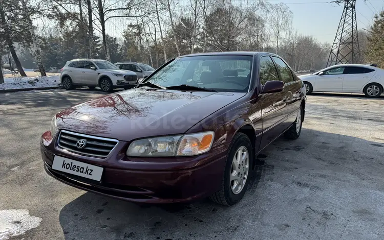 Toyota Camry 2000 года за 4 300 000 тг. в Алматы