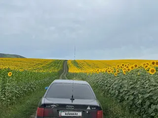 Audi 100