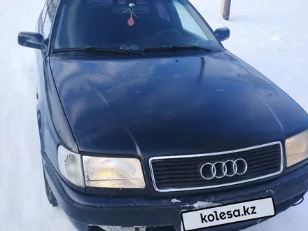 Audi 100 1992 года за 2 100 000 тг. в Петропавловск