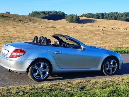 Mercedes-Benz SLK 350 2004 года за 11 000 000 тг. в Алматы – фото 4