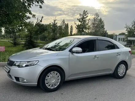 Kia Cerato 2011 года за 3 800 000 тг. в Алматы – фото 11