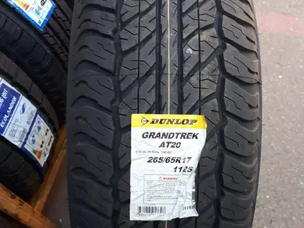 Dunlop Grandtrek AT20, Япония за 72 000 тг. в Алматы – фото 5