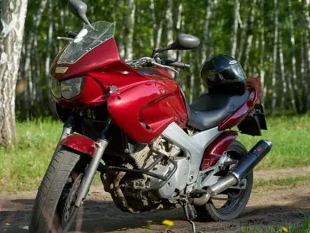 Yamaha  TDM850 2000 года за 1 600 000 тг. в Петропавловск – фото 2