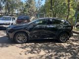 Lexus NX 250 2022 года за 25 500 000 тг. в Алматы