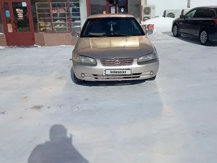 Toyota Camry 1999 года за 3 800 000 тг. в Алтай