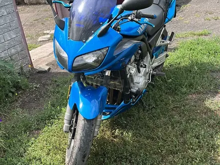 Yamaha  FZS1000 Fazer 2003 года за 1 800 000 тг. в Атбасар – фото 3