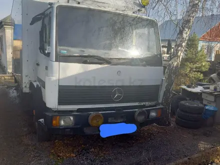 Mercedes-Benz  814 1993 года за 7 000 000 тг. в Темиртау