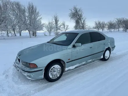 BMW 530 2001 года за 3 200 000 тг. в Шымкент – фото 8