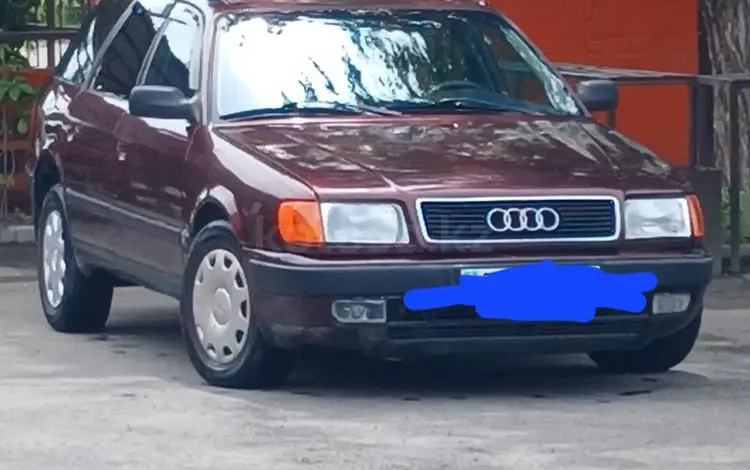 Audi 100 1992 годаүшін1 800 000 тг. в Талдыкорган