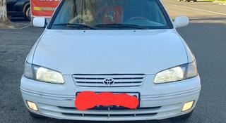 Toyota Camry 1999 года за 2 650 000 тг. в Тараз