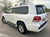 Toyota Land Cruiser 2008 года за 16 500 000 тг. в Алматы