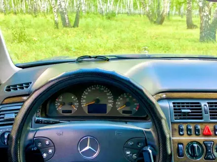 Mercedes-Benz E 240 1999 года за 3 200 000 тг. в Щучинск – фото 10