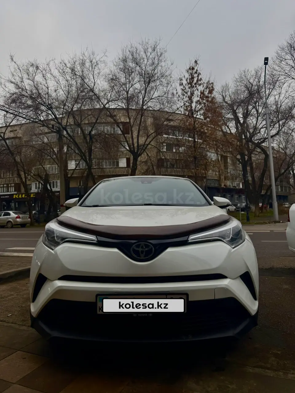 Toyota C-HR, 2019